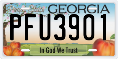 GA license plate PFU3901