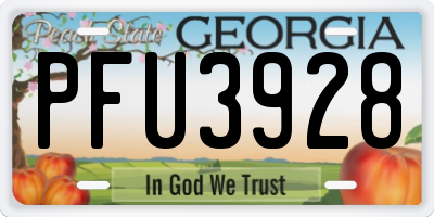 GA license plate PFU3928