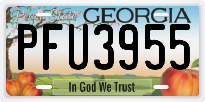 GA license plate PFU3955