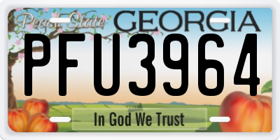GA license plate PFU3964