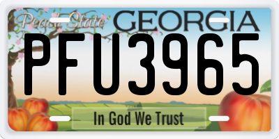 GA license plate PFU3965
