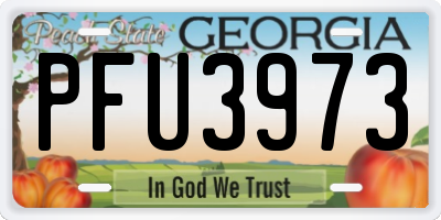 GA license plate PFU3973