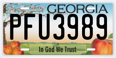 GA license plate PFU3989
