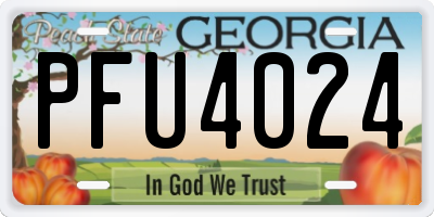 GA license plate PFU4024