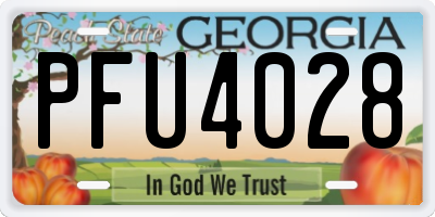 GA license plate PFU4028