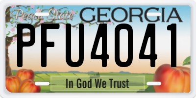 GA license plate PFU4041