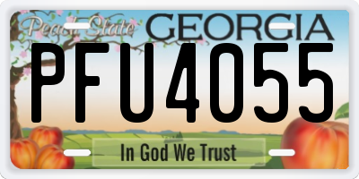 GA license plate PFU4055