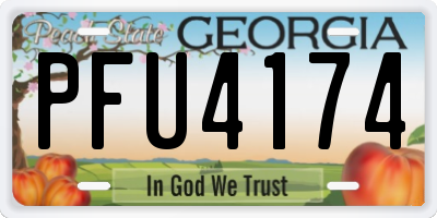 GA license plate PFU4174