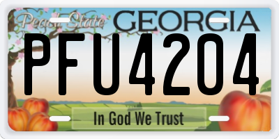 GA license plate PFU4204