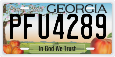 GA license plate PFU4289
