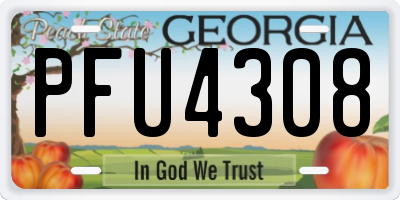 GA license plate PFU4308