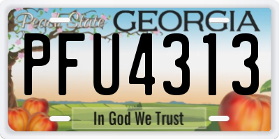 GA license plate PFU4313