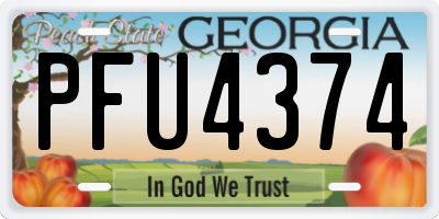 GA license plate PFU4374