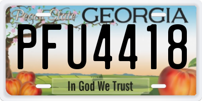 GA license plate PFU4418