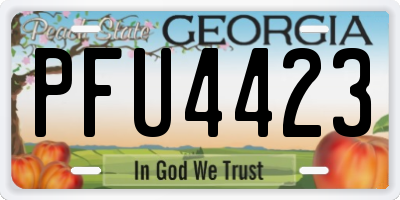 GA license plate PFU4423