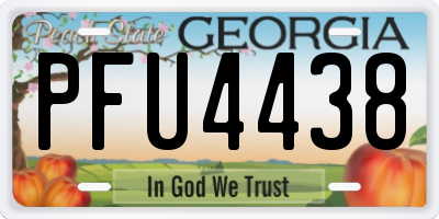 GA license plate PFU4438