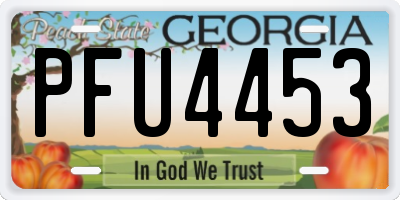 GA license plate PFU4453