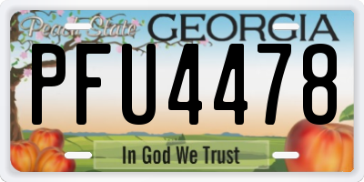 GA license plate PFU4478