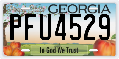 GA license plate PFU4529