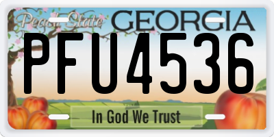 GA license plate PFU4536