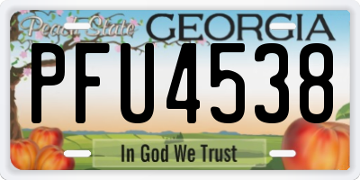 GA license plate PFU4538