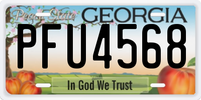 GA license plate PFU4568