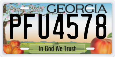 GA license plate PFU4578