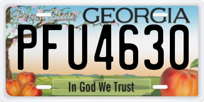 GA license plate PFU4630