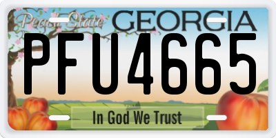 GA license plate PFU4665
