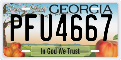 GA license plate PFU4667