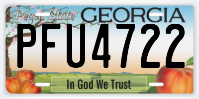 GA license plate PFU4722