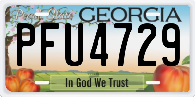 GA license plate PFU4729