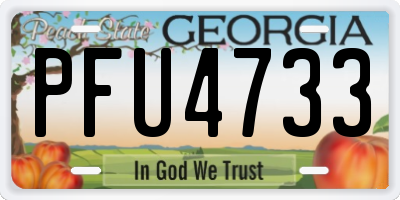 GA license plate PFU4733