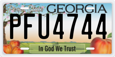 GA license plate PFU4744