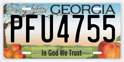 GA license plate PFU4755