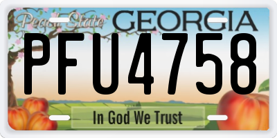 GA license plate PFU4758