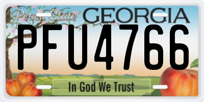 GA license plate PFU4766