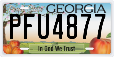 GA license plate PFU4877