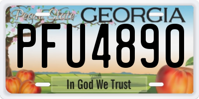GA license plate PFU4890