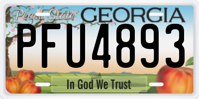 GA license plate PFU4893