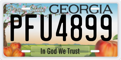 GA license plate PFU4899