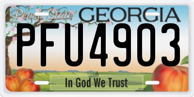 GA license plate PFU4903
