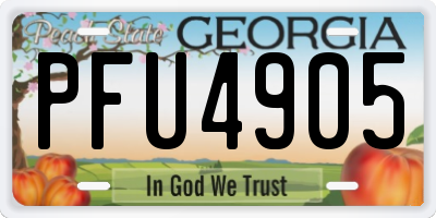GA license plate PFU4905