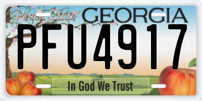 GA license plate PFU4917
