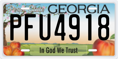 GA license plate PFU4918