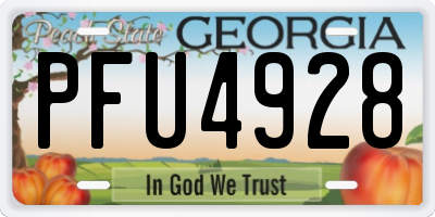 GA license plate PFU4928