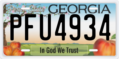 GA license plate PFU4934