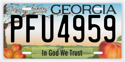 GA license plate PFU4959