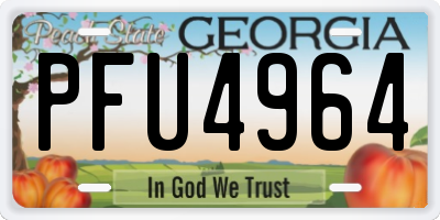 GA license plate PFU4964