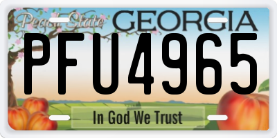 GA license plate PFU4965